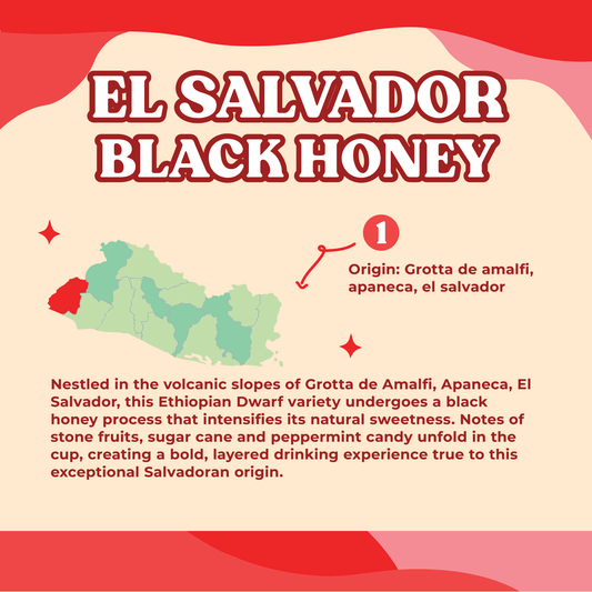 El Salvador Black Honey