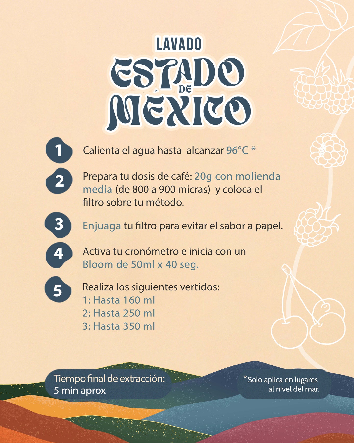 Estado de México Lavado