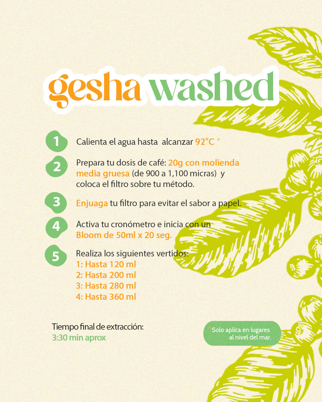 Gesha Lavado