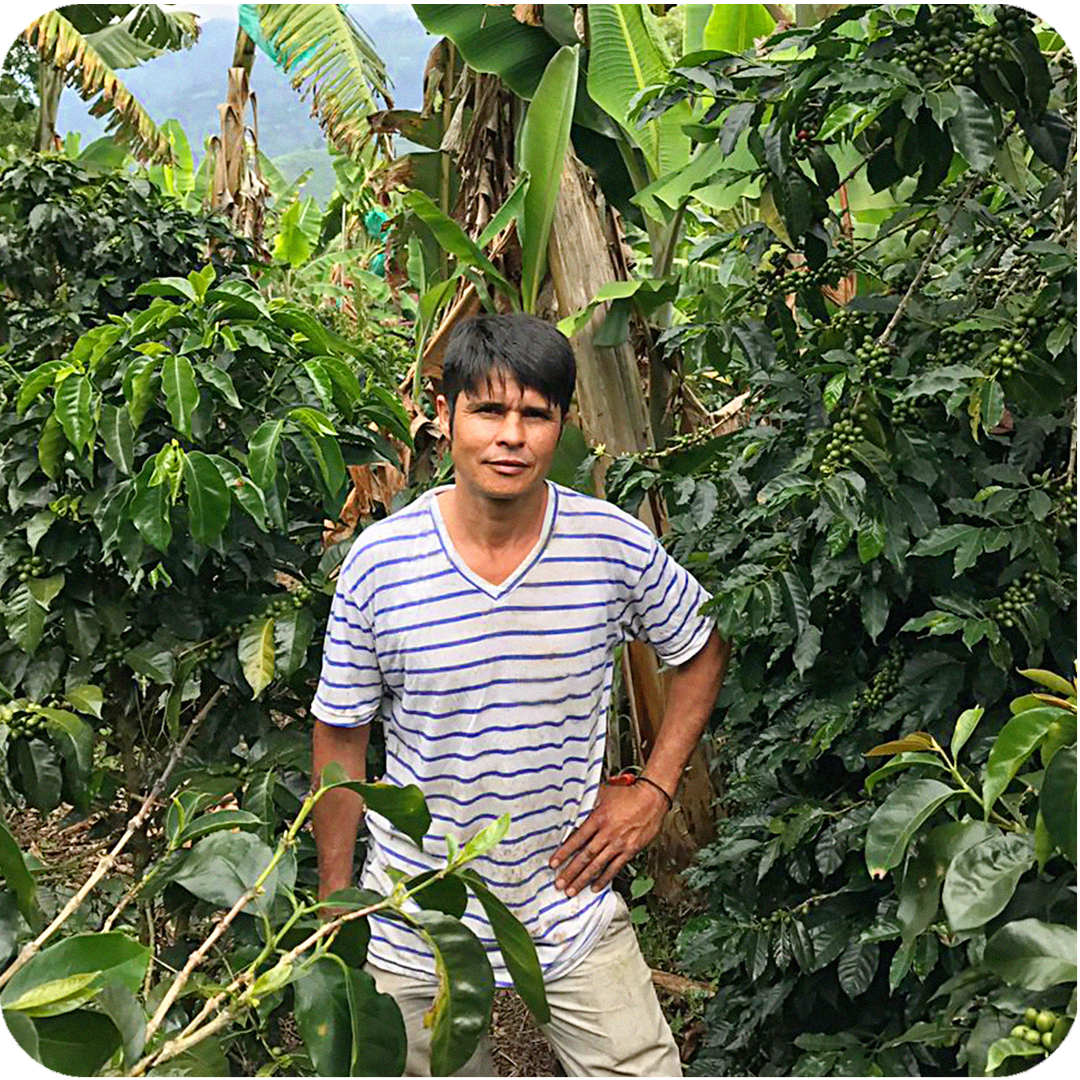 Colombia Lavado