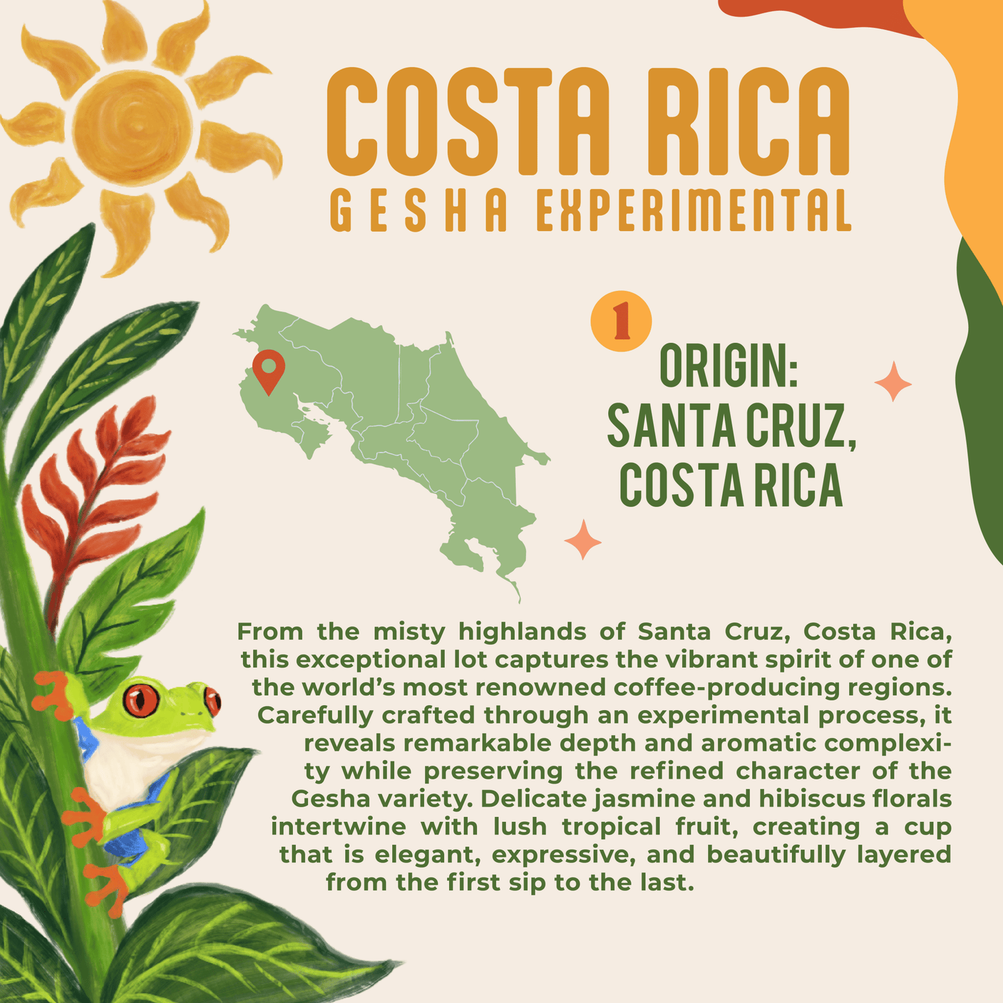 Costa Rica Gesha Experimental