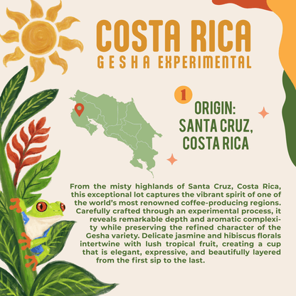 Costa Rica Gesha Experimental