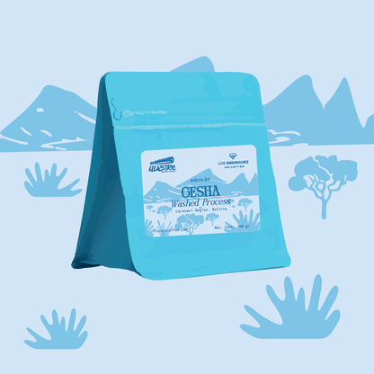 Gesha Series Finca Los Rodriguez (Edición Limitada)