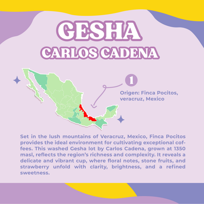Gesha Carlos Cadena