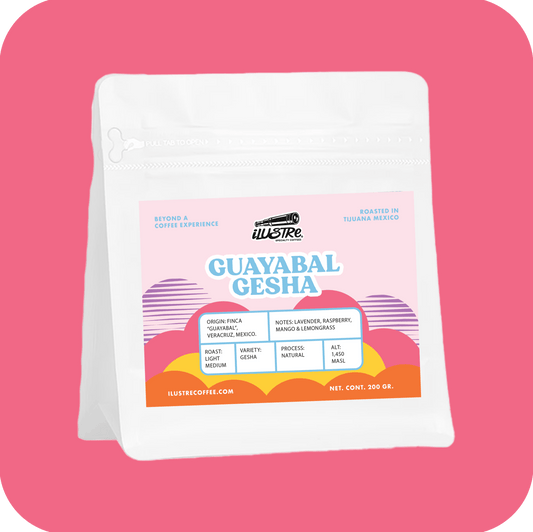 Guayabal Gesha