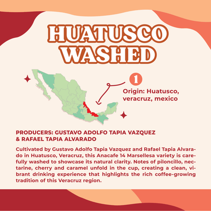 Huatusco Washed
