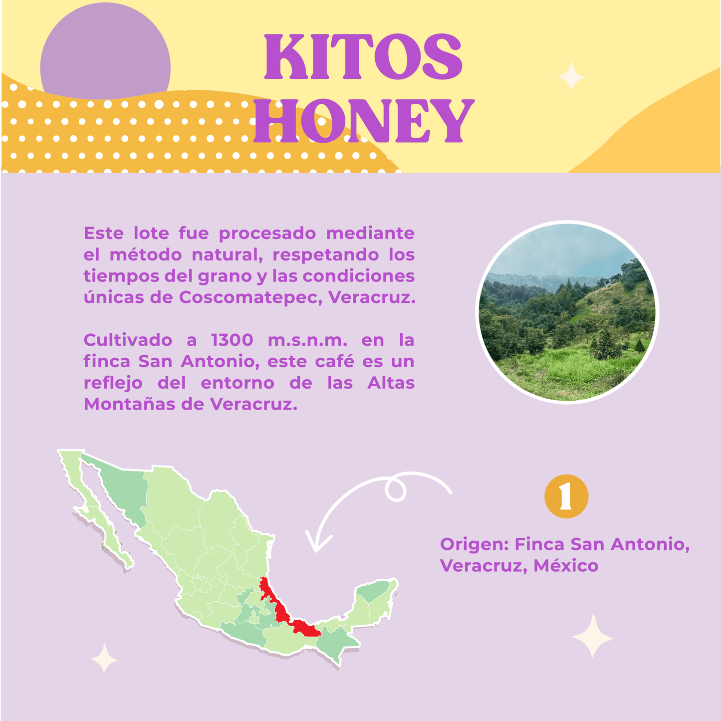 Kitos Honey