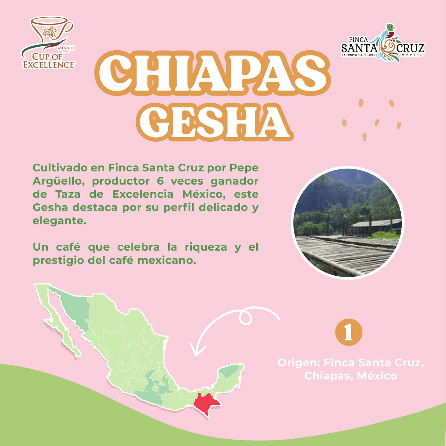 Chiapas Gesha