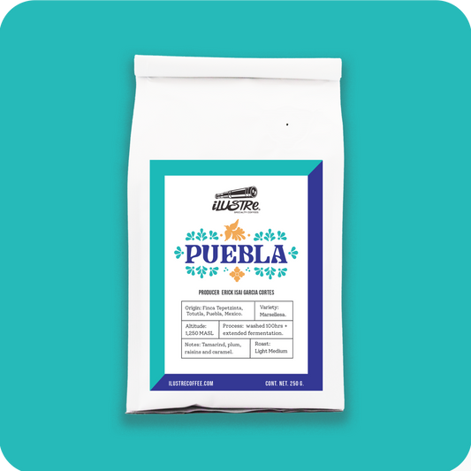 Puebla Lavado