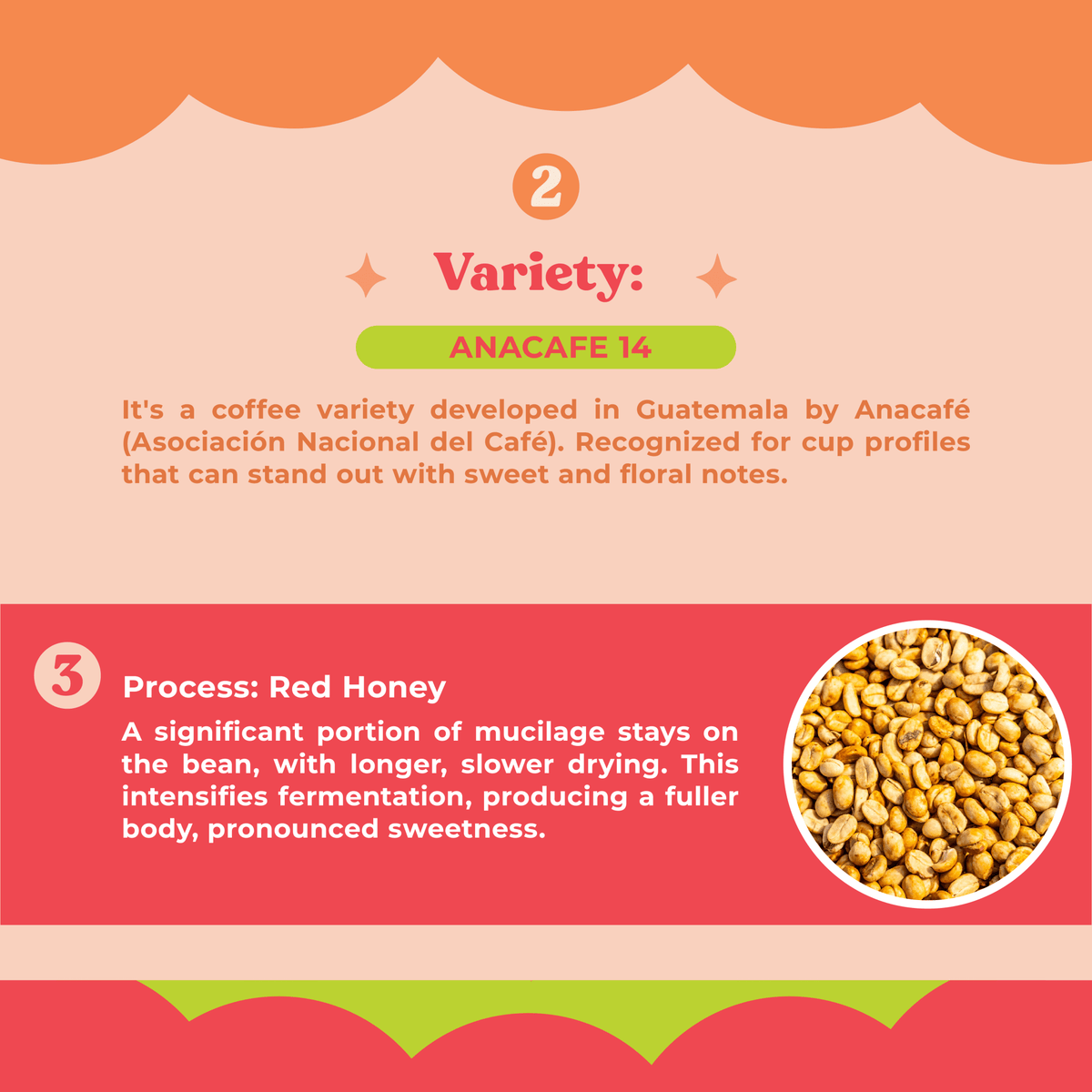 Anacafe Red Honey