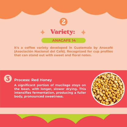 Anacafe Red Honey