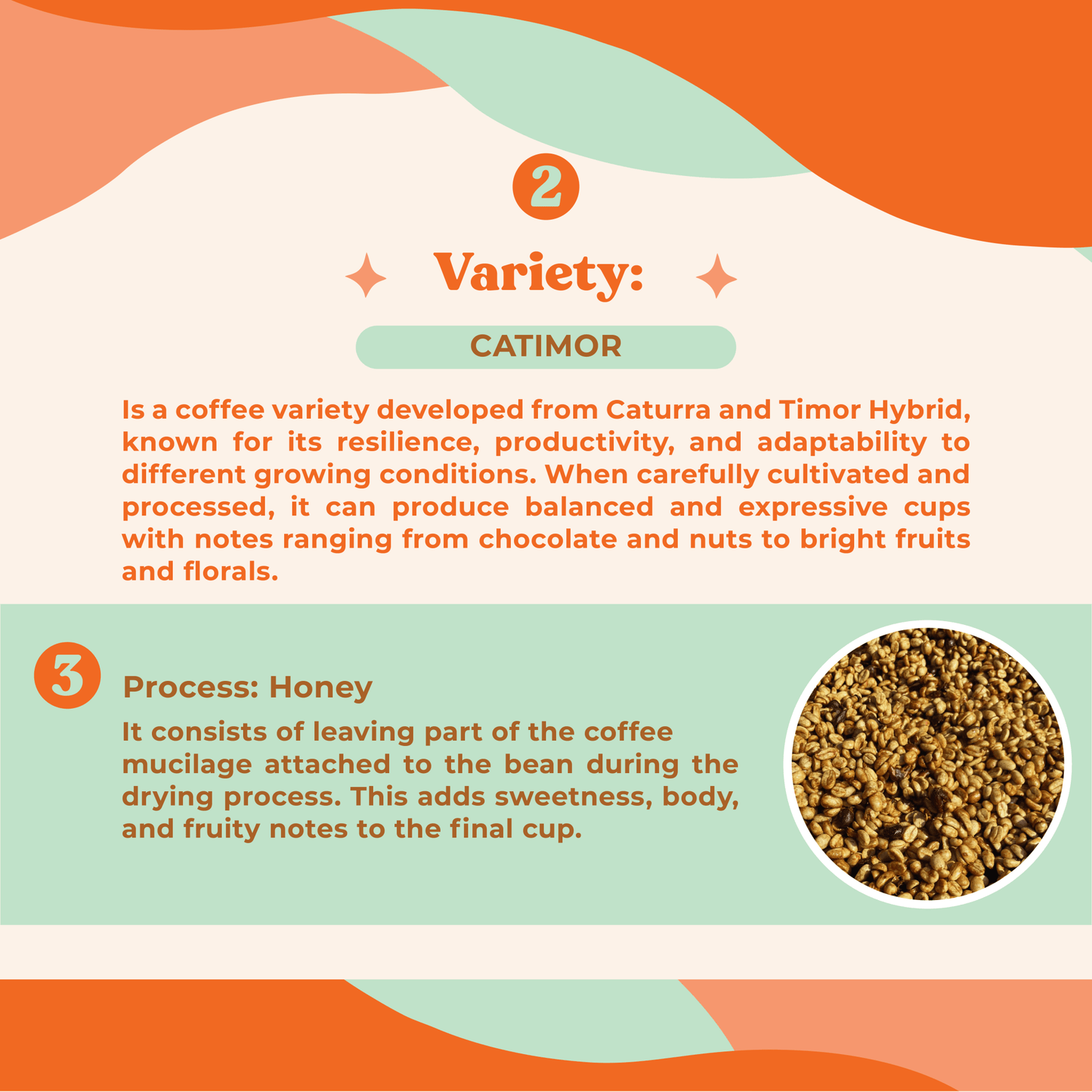 San Felipe Honey