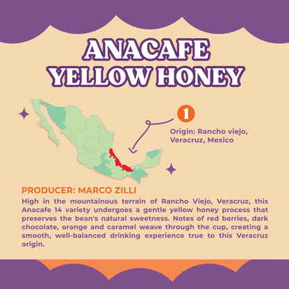 Anacafe Yellow Honey