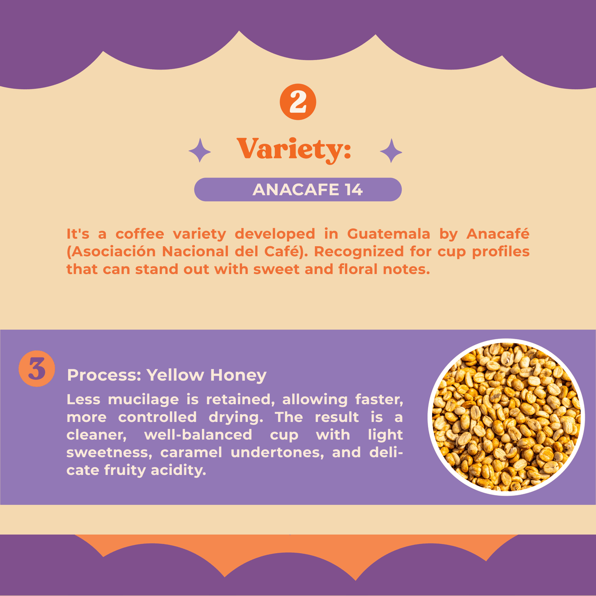 Anacafe Yellow Honey