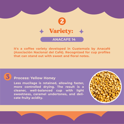 Anacafe Yellow Honey