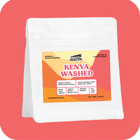 Kenya Washed