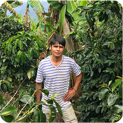Colombia Lavado